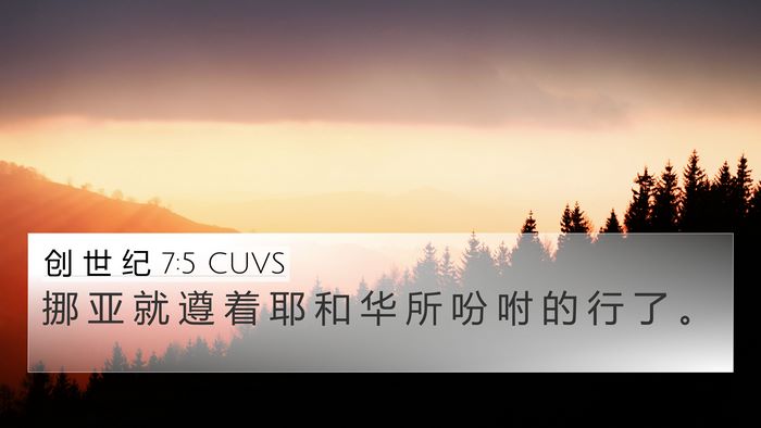 创 世 纪 7:5 CUVS 4K Wallpaper - 挪 亚 就 遵 着 耶 和 华 所 吩 咐 的 - 4K Wallpaper Bible Verse
