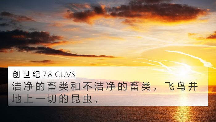 创 世 纪 7:8 CUVS Bible Verse Image