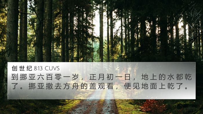 创 世 纪 8:13 CUVS Bible Verse Image