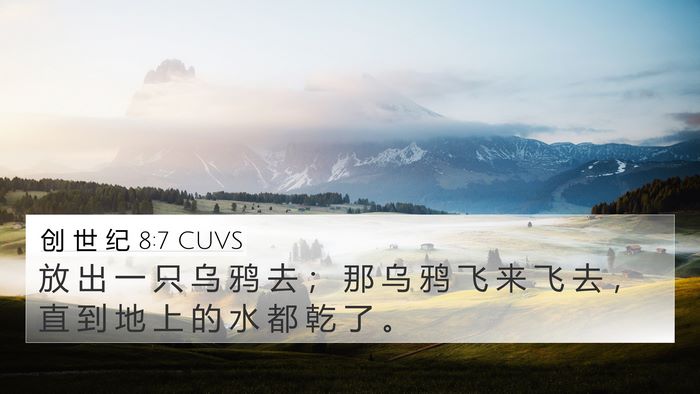 创 世 纪 8:7 CUVS Bible Verse Image