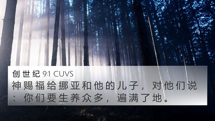 创 世 纪 9:1 CUVS 4K Wallpaper - 神 赐 福 给 挪 亚 和 他 的 儿 子 ， - 4K Wallpaper Bible Verse
