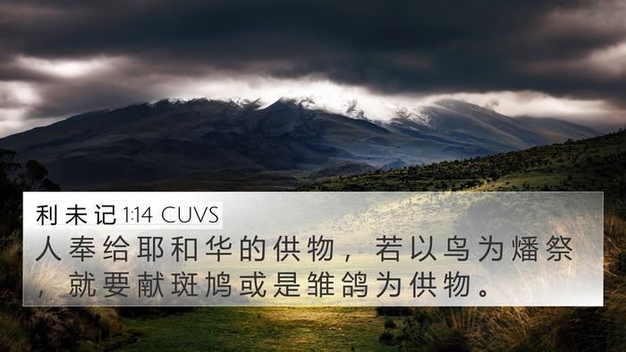 利 未 记 1:14 CUVS Bible Verse Image
