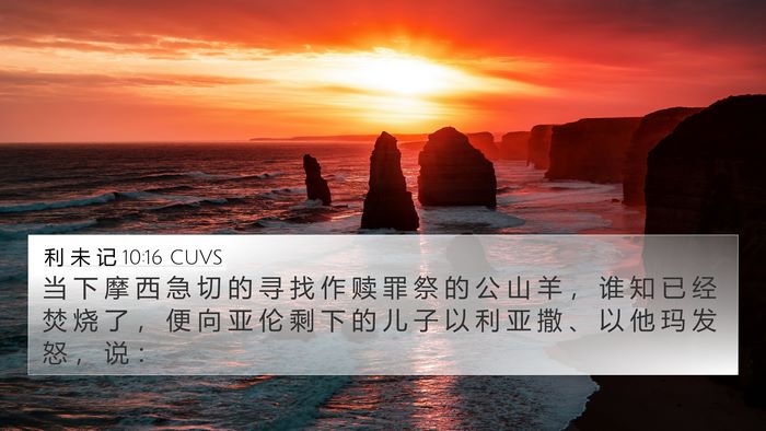 利 未 记 10:16 CUVS Bible Verse Image