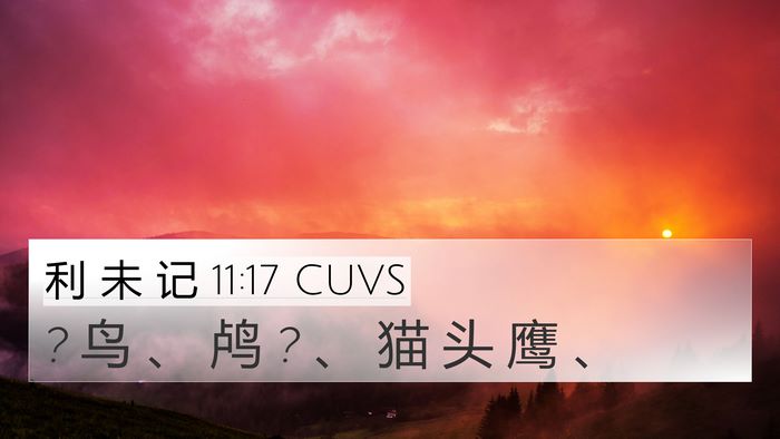 利 未 记 11:17 CUVS 4K Wallpaper - ? 鸟 、 鸬 ? 、 猫 头 鹰 - 4K Wallpaper Bible Verse
