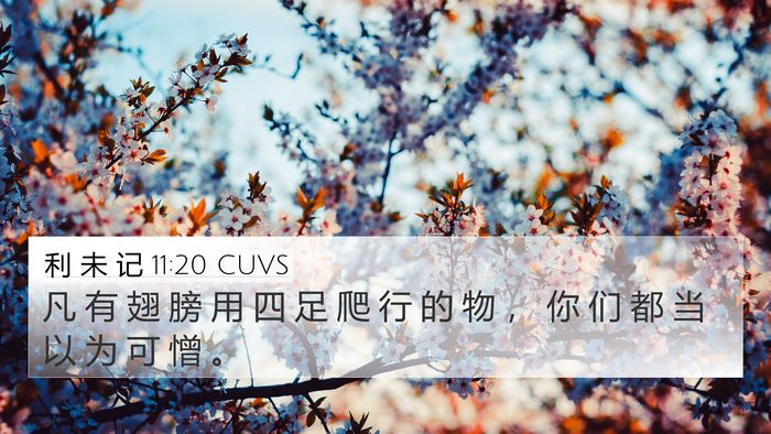 利 未 记 11:20 CUVS Bible Verse Image