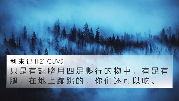 利 未 记 11:21 CUVS 4K Wallpaper - 只 是 有 翅 膀 用 四 足 爬 行 的 物 - 4K Wallpaper Bible Verse