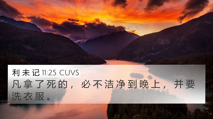 利 未 记 11:25 CUVS Bible Verse Image