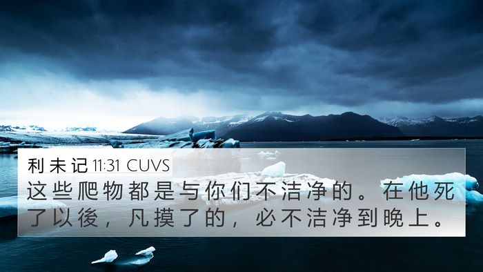 利 未 记 11:31 CUVS Bible Verse Image