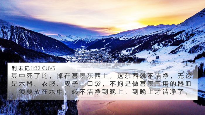 利 未 记 11:32 CUVS Bible Verse Image