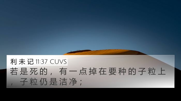 利 未 记 11:37 CUVS 4K Wallpaper - 若 是 死 的 ， 有 一 点 掉 在 要 种 - 4K Wallpaper Bible Verse