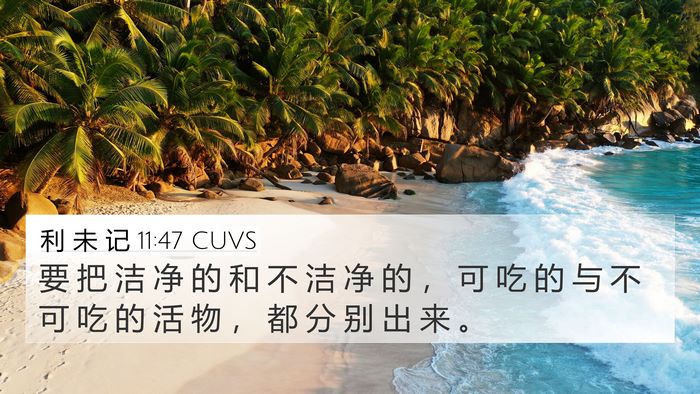 利 未 记 11:47 CUVS Bible Verse Image