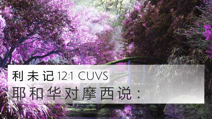 利 未 记 12:1 CUVS Bible Verse Image