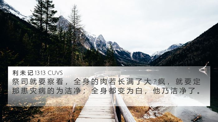 利 未 记 13:13 CUVS 4K Wallpaper - 祭 司 就 要 察 看 ， 全 身 的 肉 若 - 4K Wallpaper Bible Verse