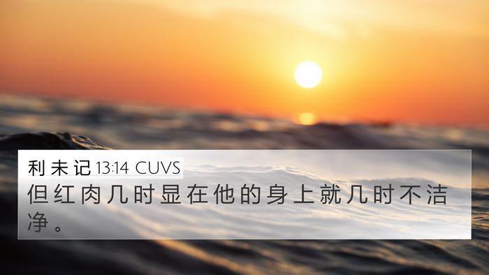 利 未 记 13:14 CUVS Bible Verse Image