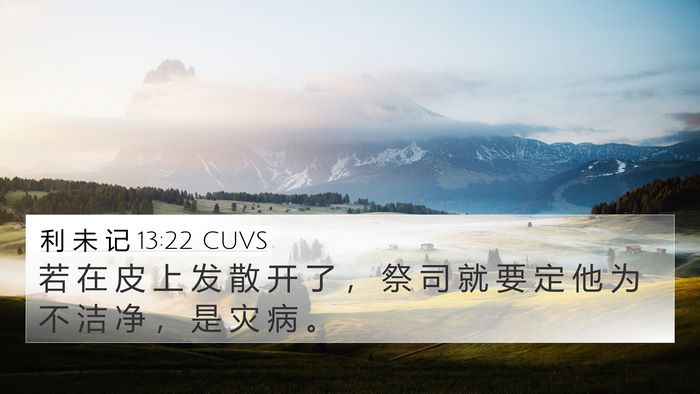 利 未 记 13:22 CUVS 4K Wallpaper - 若 在 皮 上 发 散 开 了 ， 祭 司 就 - 4K Wallpaper Bible Verse
