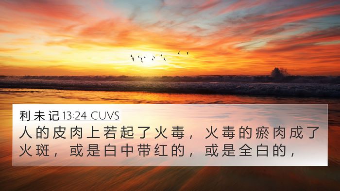 利 未 记 13:24 CUVS Bible Verse Image
