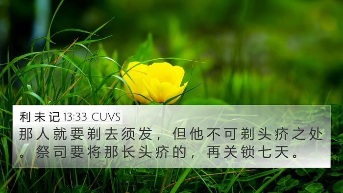利 未 记 13:33 CUVS 4K Wallpaper - 那 人 就 要 剃 去 须 发 ， 但 他 不 - 4K Wallpaper Bible Verse