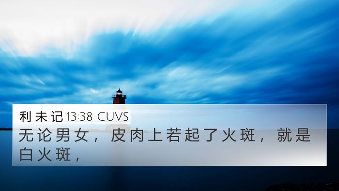 利 未 记 13:38 CUVS 4K Wallpaper - 无 论 男 女 ， 皮 肉 上 若 起 了 火 - 4K Wallpaper Bible Verse