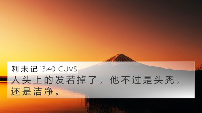 利 未 记 13:40 CUVS 4K Wallpaper - 人 头 上 的 发 若 掉 了 ， 他 不 过 - 4K Wallpaper Bible Verse