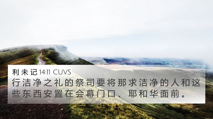 利 未 记 14:11 CUVS 4K Wallpaper - 行 洁 净 之 礼 的 祭 司 要 将 那 求 - 4K Wallpaper Bible Verse