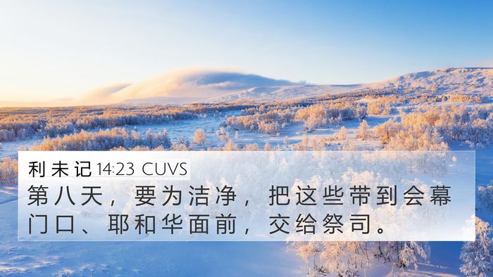 利 未 记 14:23 CUVS Bible Verse Image