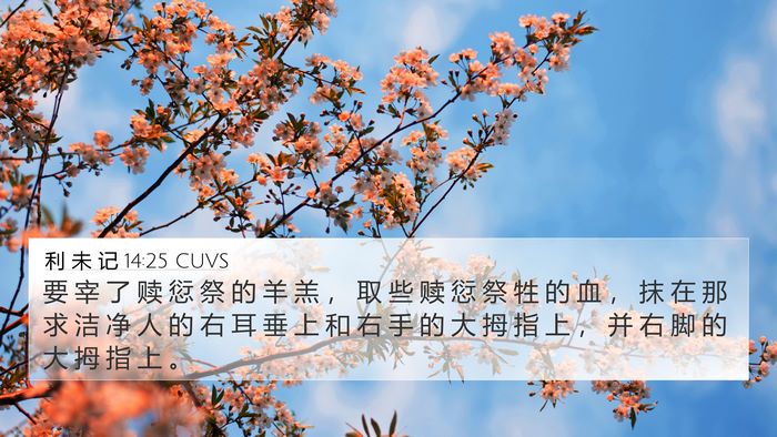 利 未 记 14:25 CUVS 4K Wallpaper - 要 宰 了 赎 愆 祭 的 羊 羔 ， 取 些 - 4K Wallpaper Bible Verse