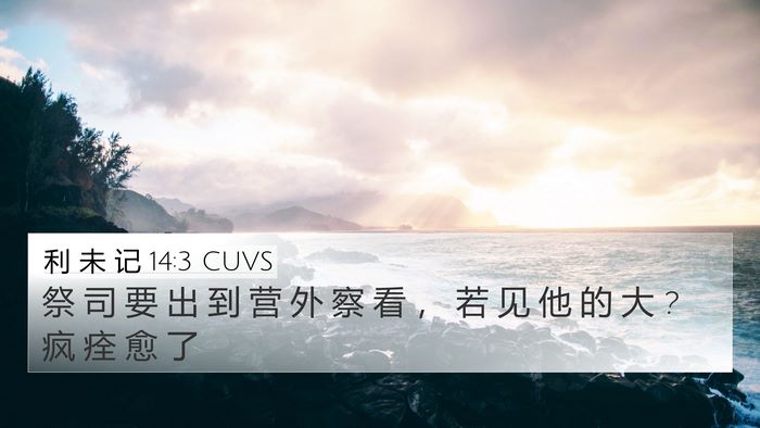 利 未 记 14:3 CUVS Bible Verse Image