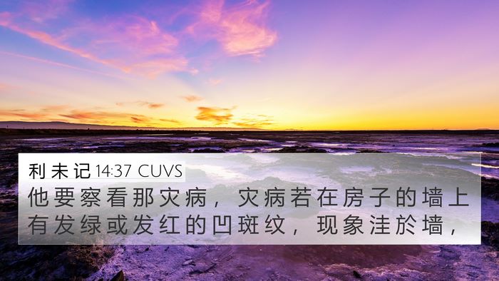 利 未 记 14:37 CUVS 4K Wallpaper - 他 要 察 看 那 灾 病 ， 灾 病 若 在 - 4K Wallpaper Bible Verse