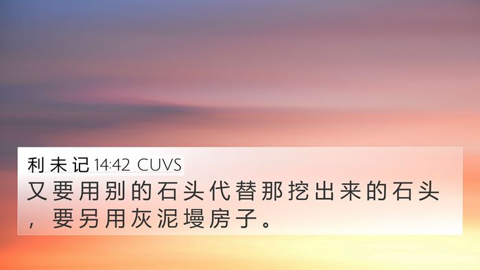 利 未 记 14:42 CUVS 4K Wallpaper - 又 要 用 别 的 石 头 代 替 那 挖 出 - 4K Wallpaper Bible Verse