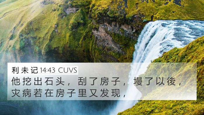 利 未 记 14:43 CUVS 4K Wallpaper - 他 挖 出 石 头 ， 刮 了 房 子 ， 墁 - 4K Wallpaper Bible Verse