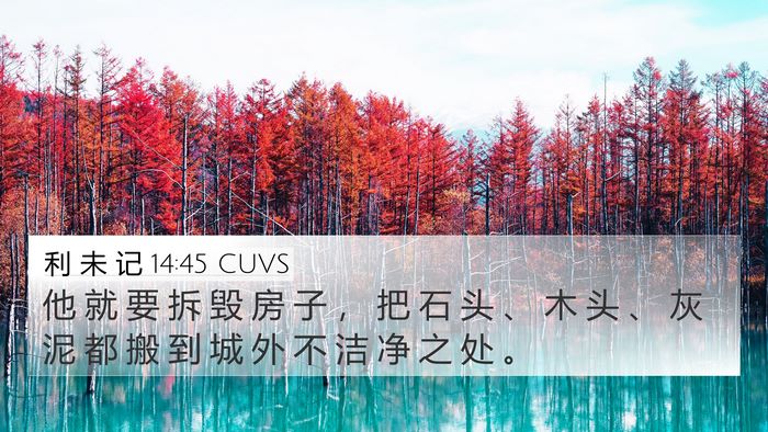 利 未 记 14:45 CUVS 4K Wallpaper - 他 就 要 拆 毁 房 子 ， 把 石 头 、 - 4K Wallpaper Bible Verse