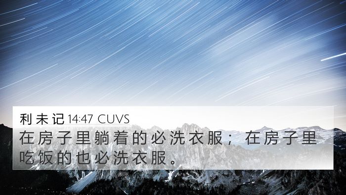 利 未 记 14:47 CUVS 4K Wallpaper - 在 房 子 里 躺 着 的 必 洗 衣 服 ； - 4K Wallpaper Bible Verse