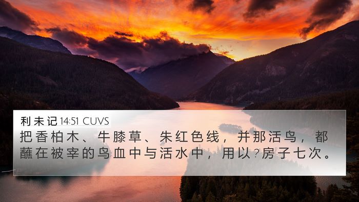 利 未 记 14:51 CUVS Bible Verse Image