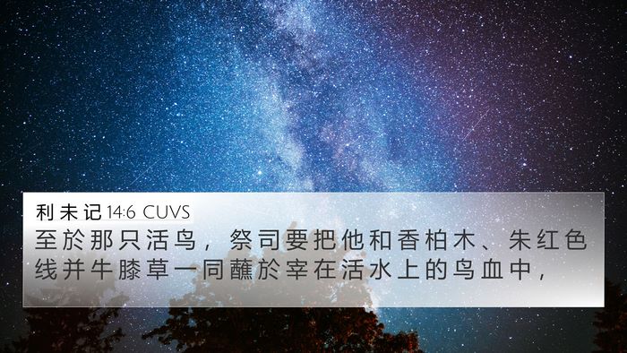利 未 记 14:6 CUVS 4K Wallpaper - 至 於 那 只 活 鸟 ， 祭 司 要 把 他 - 4K Wallpaper Bible Verse