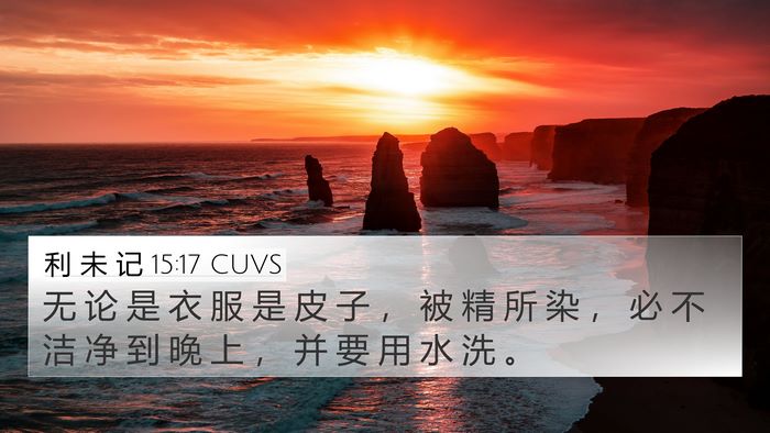 利 未 记 15:17 CUVS 4K Wallpaper - 无 论 是 衣 服 是 皮 子 ， 被 精 所 - 4K Wallpaper Bible Verse