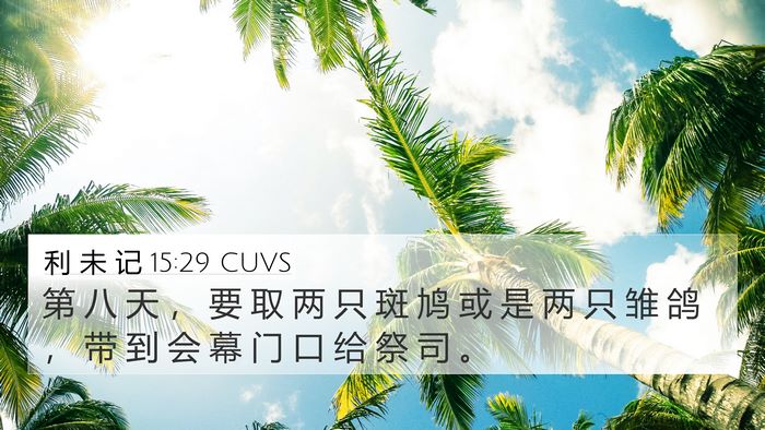 利 未 记 15:29 CUVS Bible Verse Image