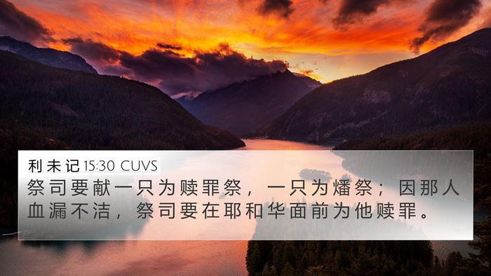 利 未 记 15:30 CUVS 4K Wallpaper - 祭 司 要 献 一 只 为 赎 罪 祭 ， 一 - 4K Wallpaper Bible Verse