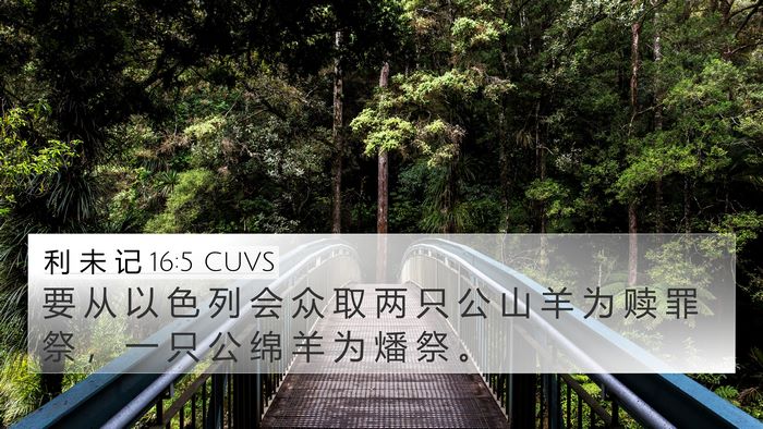 利 未 记 16:5 CUVS Bible Verse Image