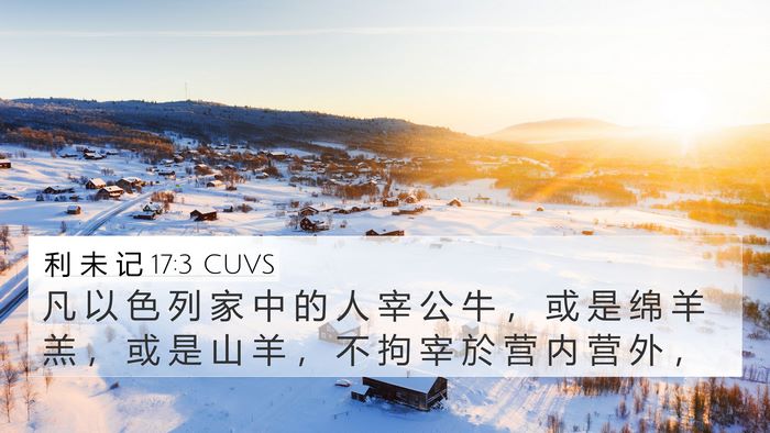 利 未 记 17:3 CUVS Bible Verse Image