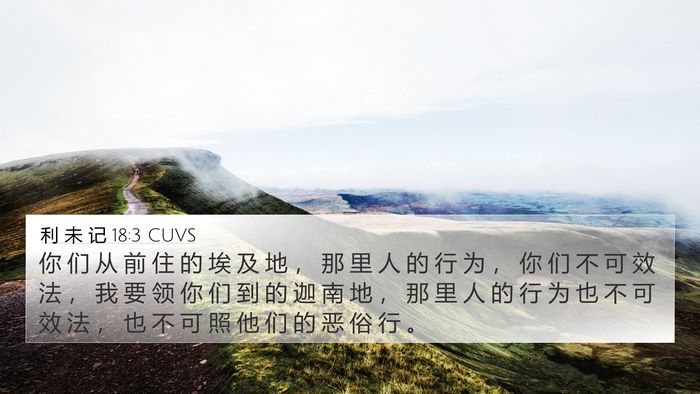 利 未 记 18:3 CUVS Bible Verse Image