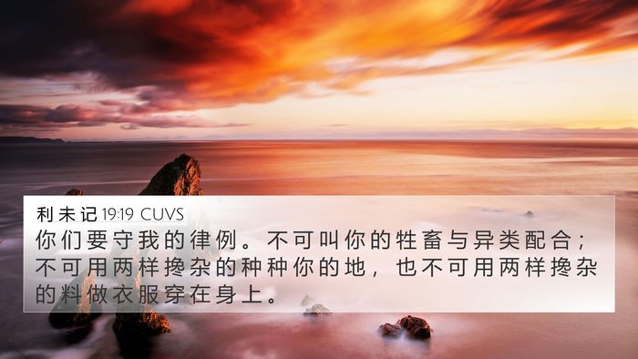 利 未 记 19:19 CUVS Bible Verse Image