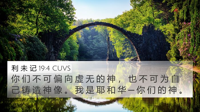 利 未 记 19:4 CUVS Bible Verse Image