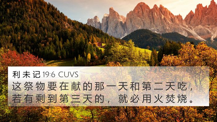 利 未 记 19:6 CUVS 4K Wallpaper - 这 祭 物 要 在 献 的 那 一 天 和 第 - 4K Wallpaper Bible Verse