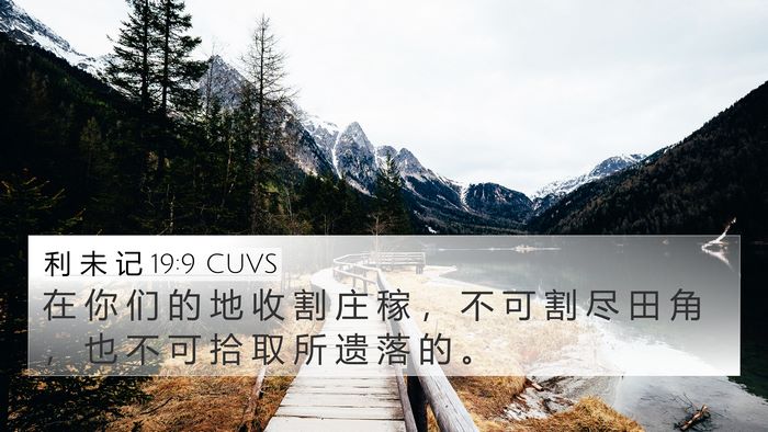 利 未 记 19:9 CUVS Bible Verse Image
