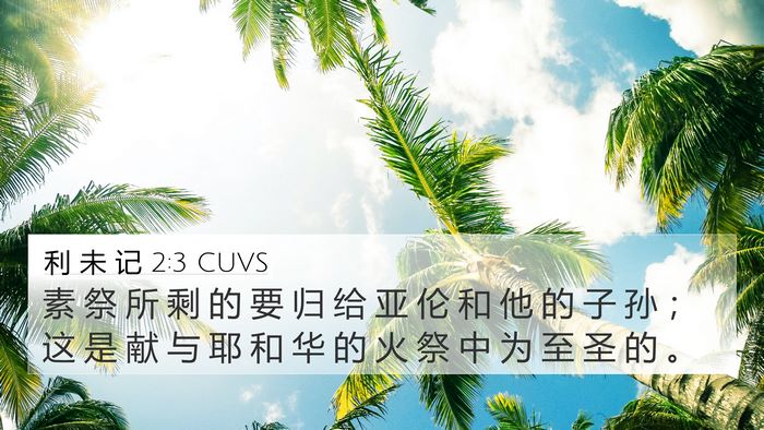 利 未 记 2:3 CUVS 4K Wallpaper - 素 祭 所 剩 的 要 归 给 亚 伦 和 他 - 4K Wallpaper Bible Verse