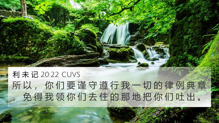 利 未 记 20:22 CUVS Bible Verse Image