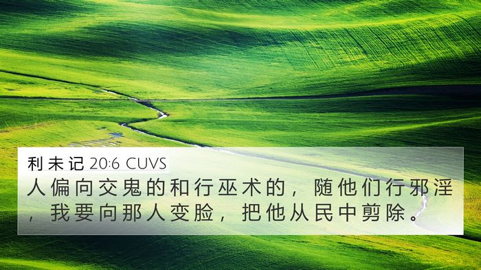 利 未 记 20:6 CUVS Bible Verse Image