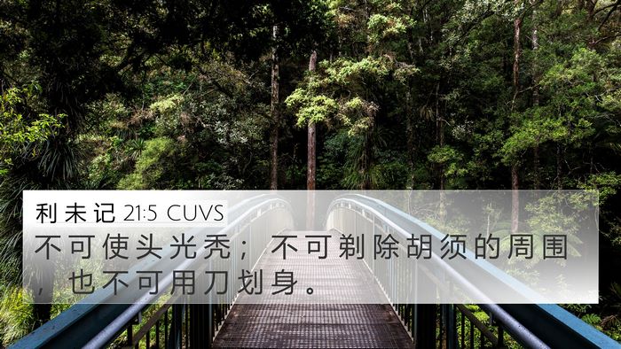 利 未 记 21:5 CUVS Bible Verse Image