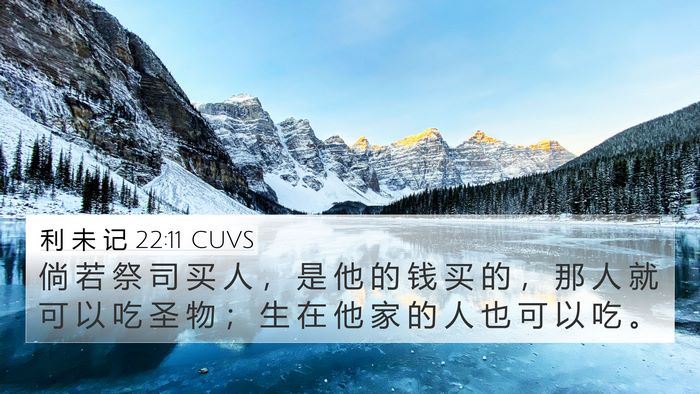 利 未 记 22:11 CUVS 4K Wallpaper - 倘 若 祭 司 买 人 ， 是 他 的 钱 买 - 4K Wallpaper Bible Verse