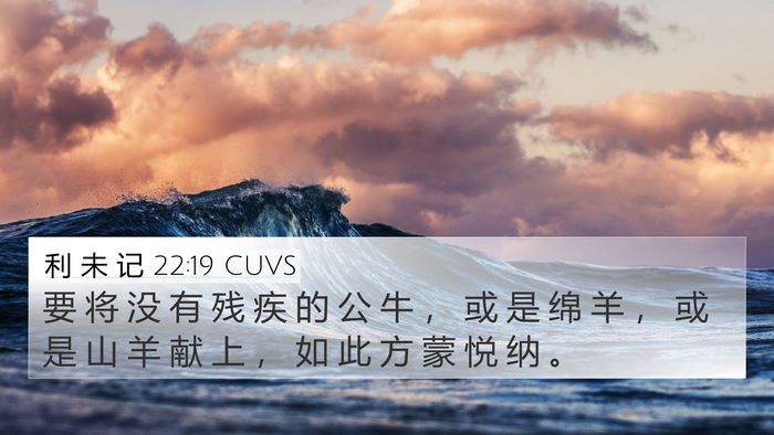 利 未 记 22:19 CUVS Bible Verse Image